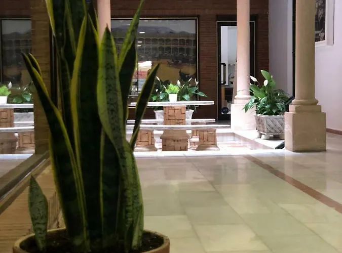 Nueva 13 * Ронда