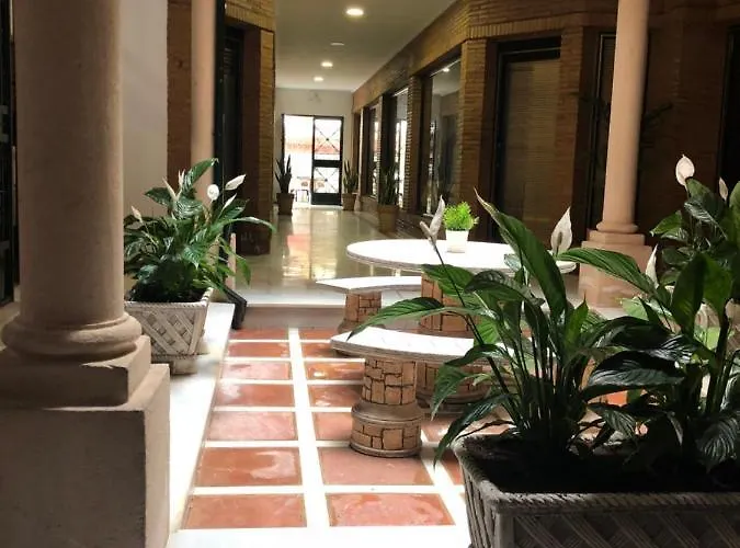 Nueva 13 * רונדה